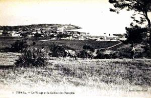 Tipasa - Ruines romaines 05